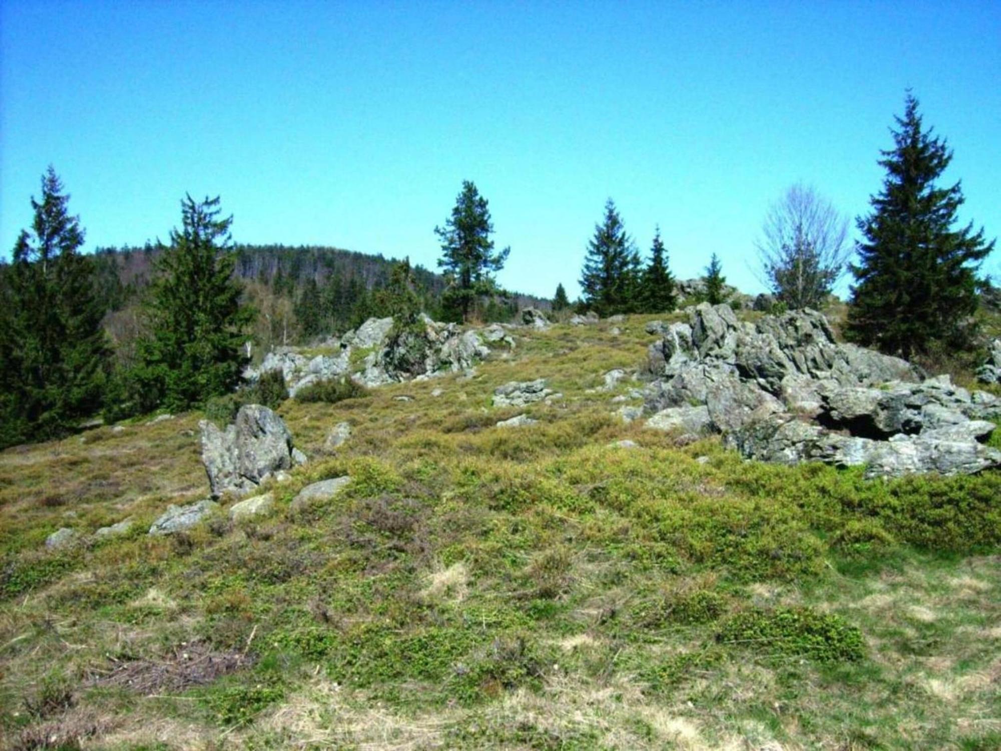 Farmhouse In Neukirchen Near Heiligen Blut Neukirchen beim Heiligen Blut Exteriör bild